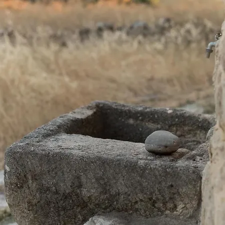 παραδοσιακή